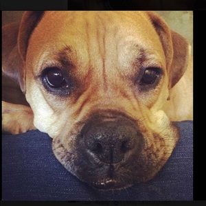 Meet your Posher, Sean